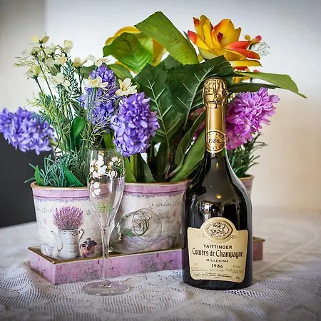 Apartman Free Spirit Split